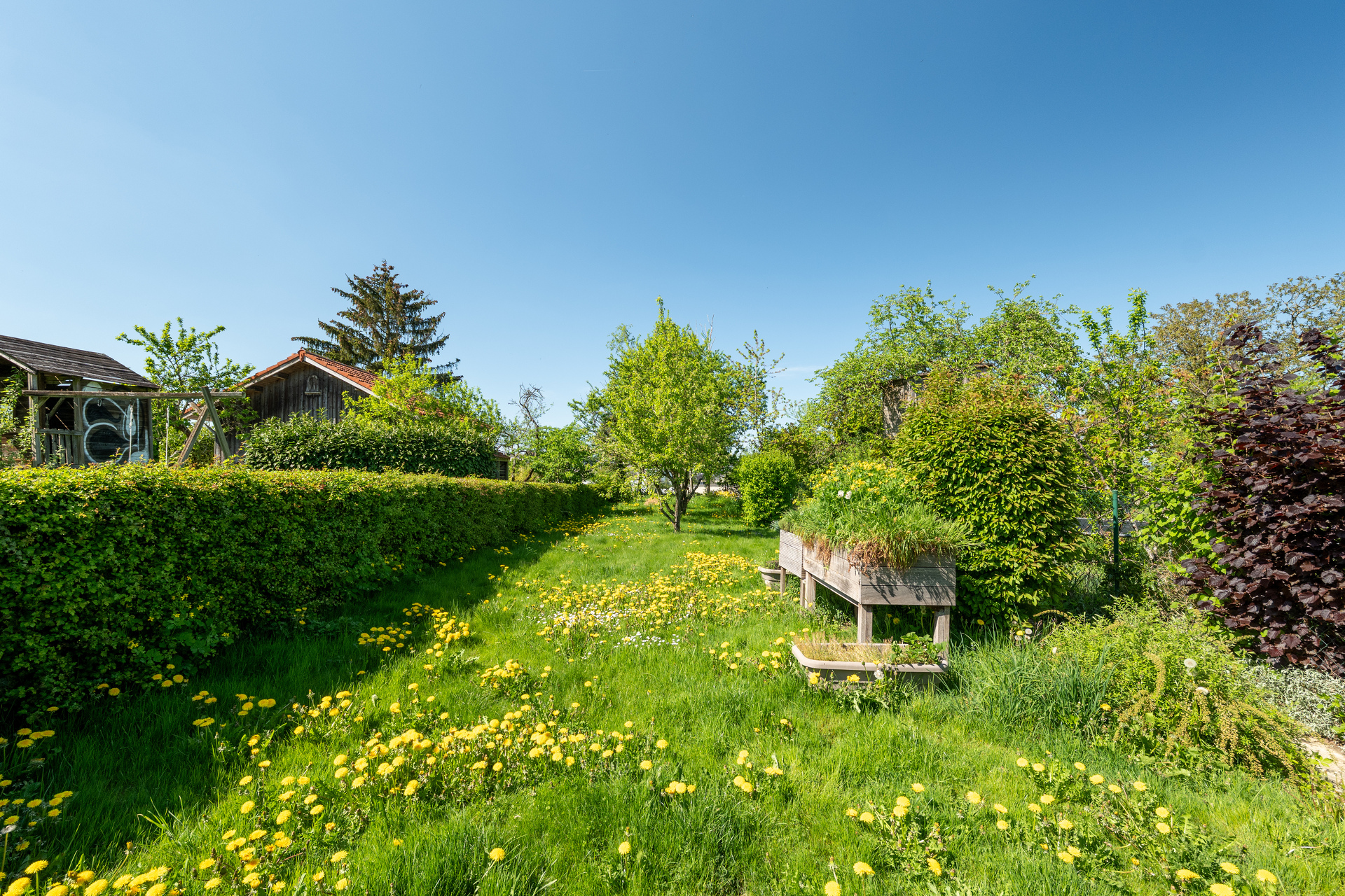 Image 13